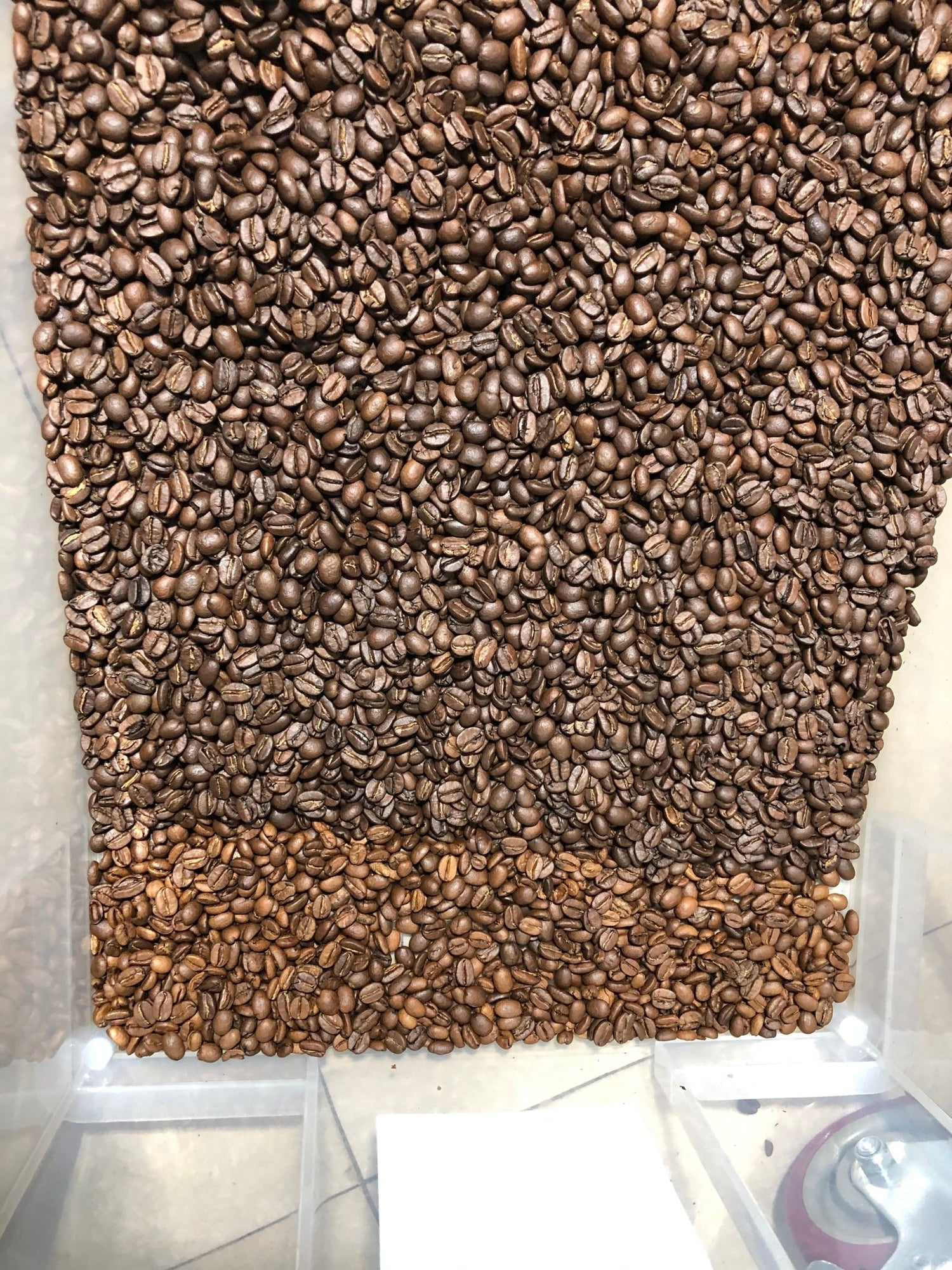 Coffee Bean Colour Sorter - Genio Roasters