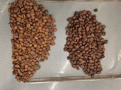 Coffee Bean Colour Sorter - Genio Roasters